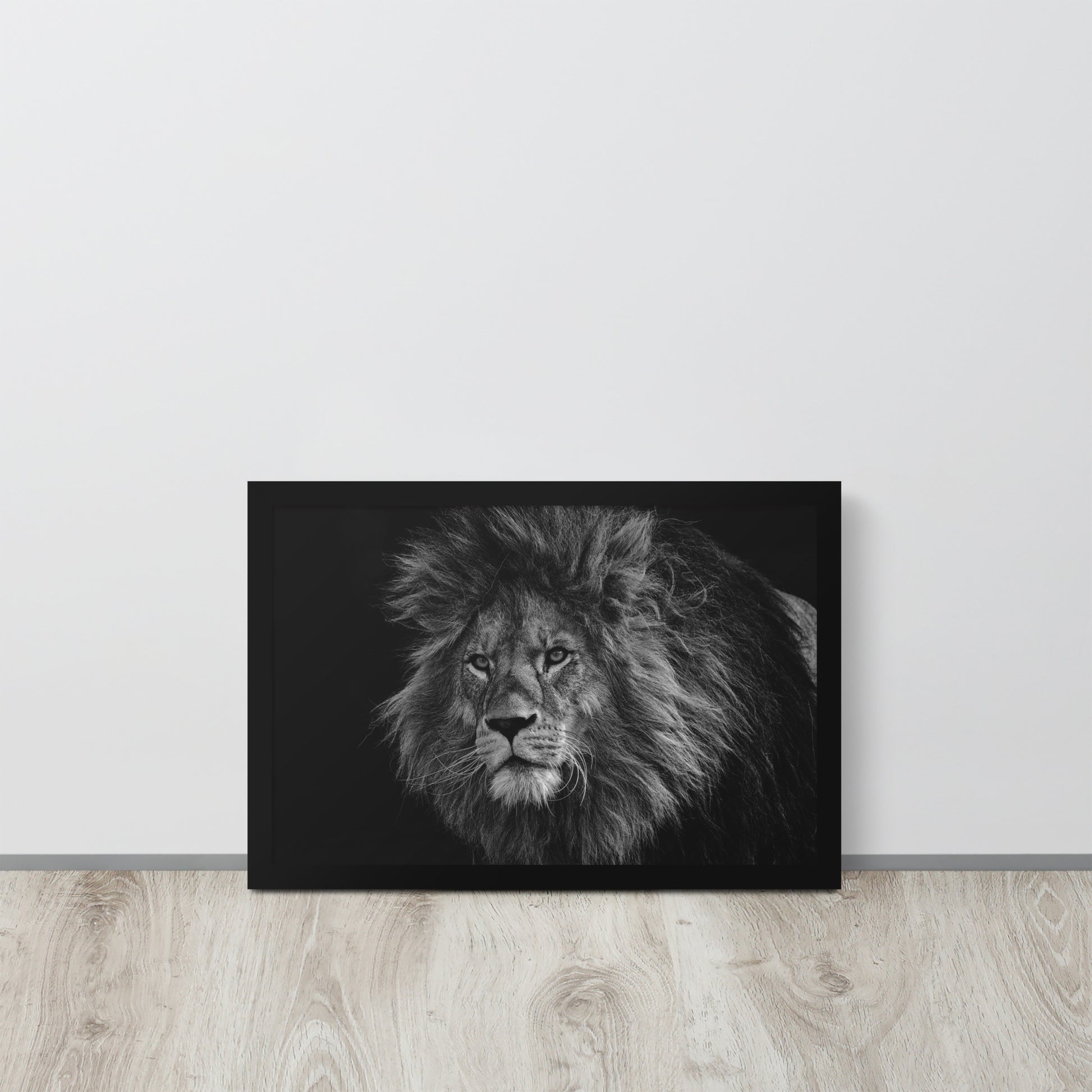 Lion -- High Quality -- Framed on photo paper