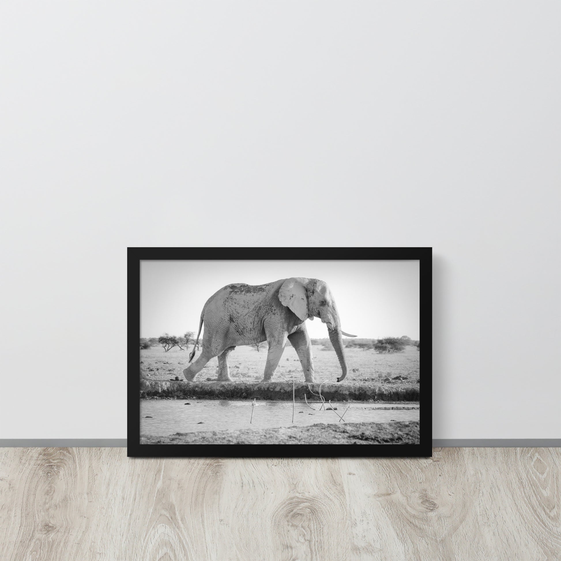 Elephant -- High Quality -- Framed photo paper