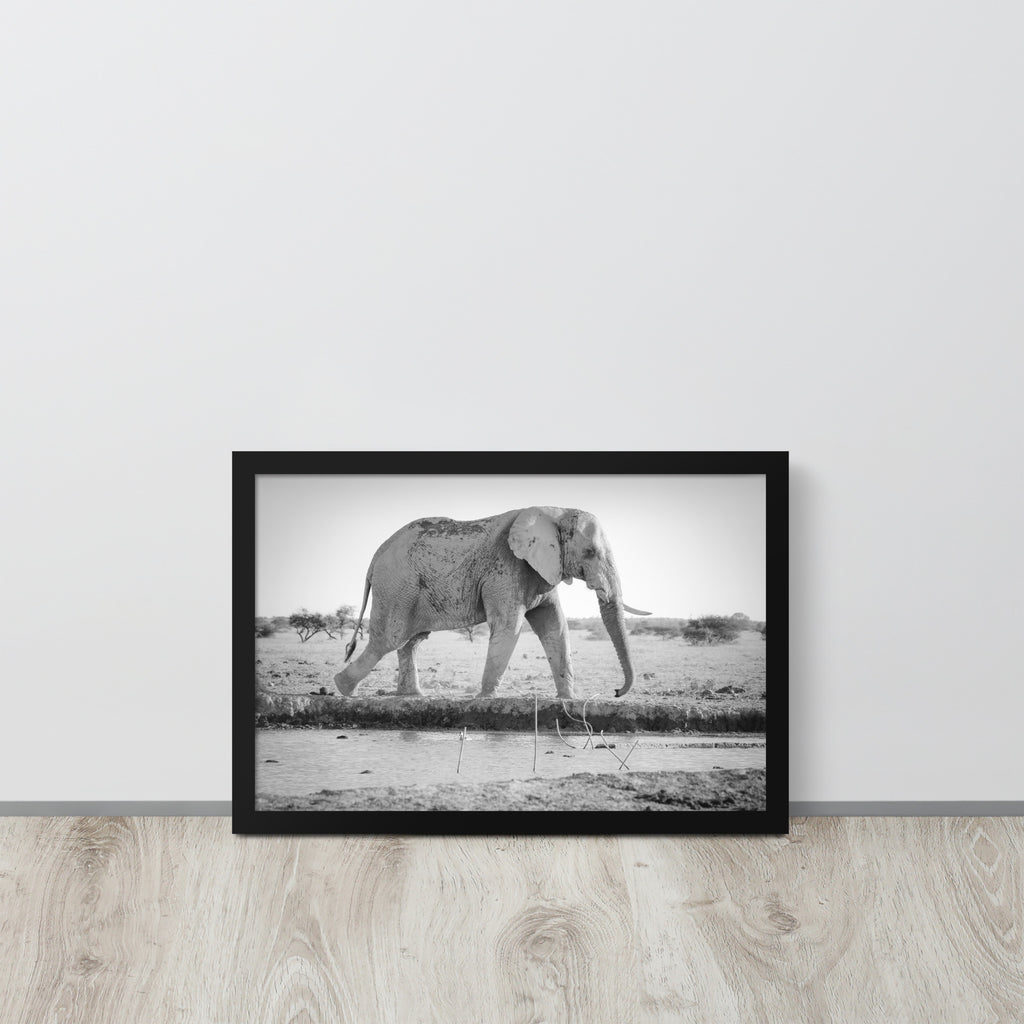 Elephant -- High Quality -- Framed photo paper