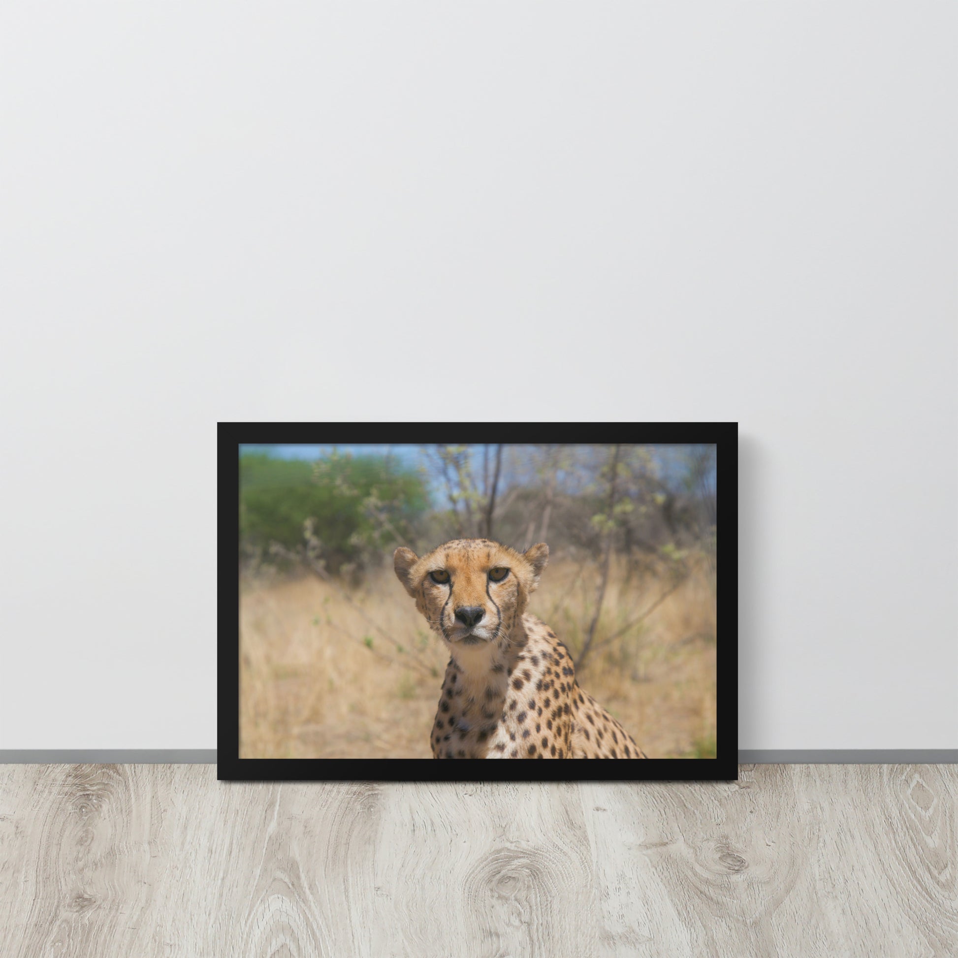 Leopard -- High Quality -- Framed on photo paper
