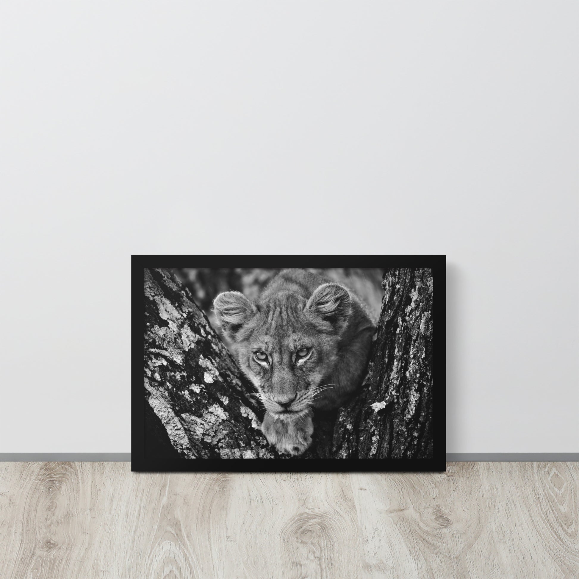 Lioness -- High Quality -- Framed on photo paper