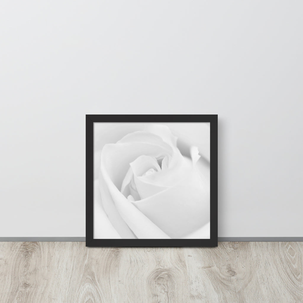 The Rose -- High Quality -- Framed on photo paper