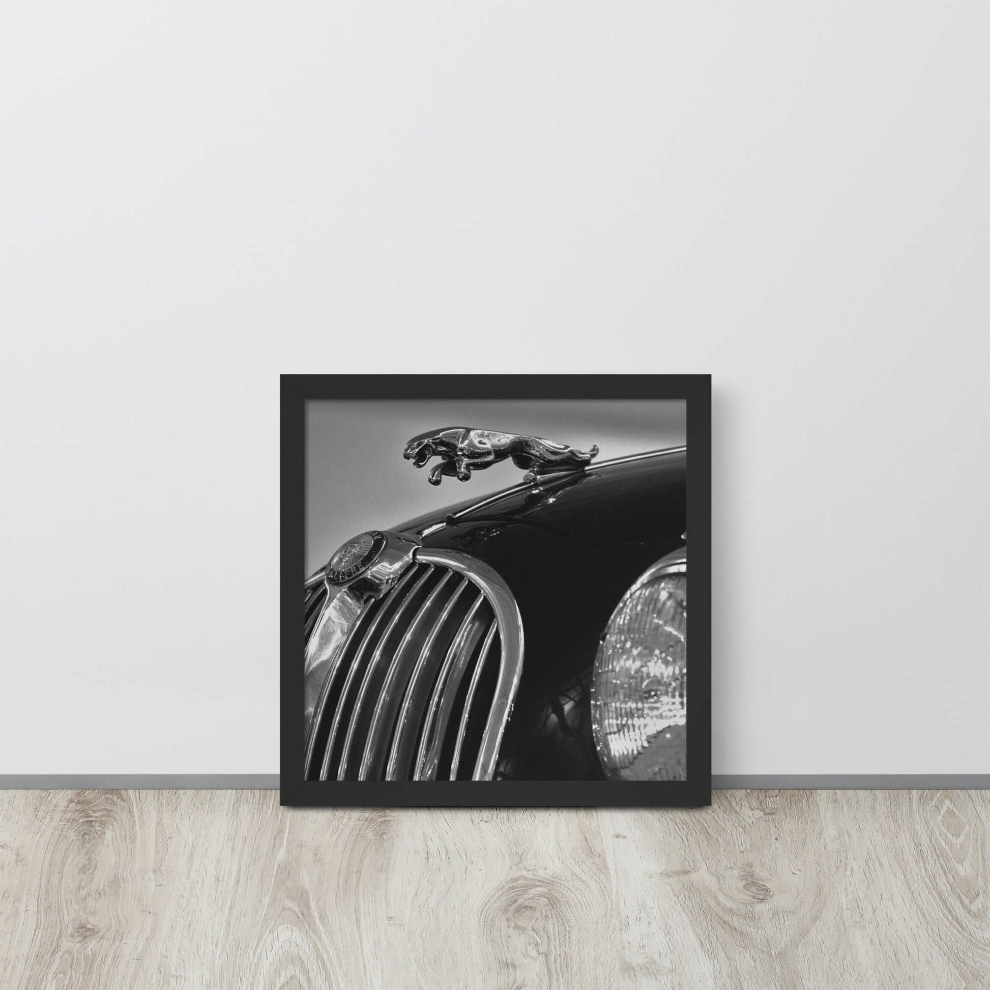 Car Collection Jaguar -- High Quality-- Framed on photo paper