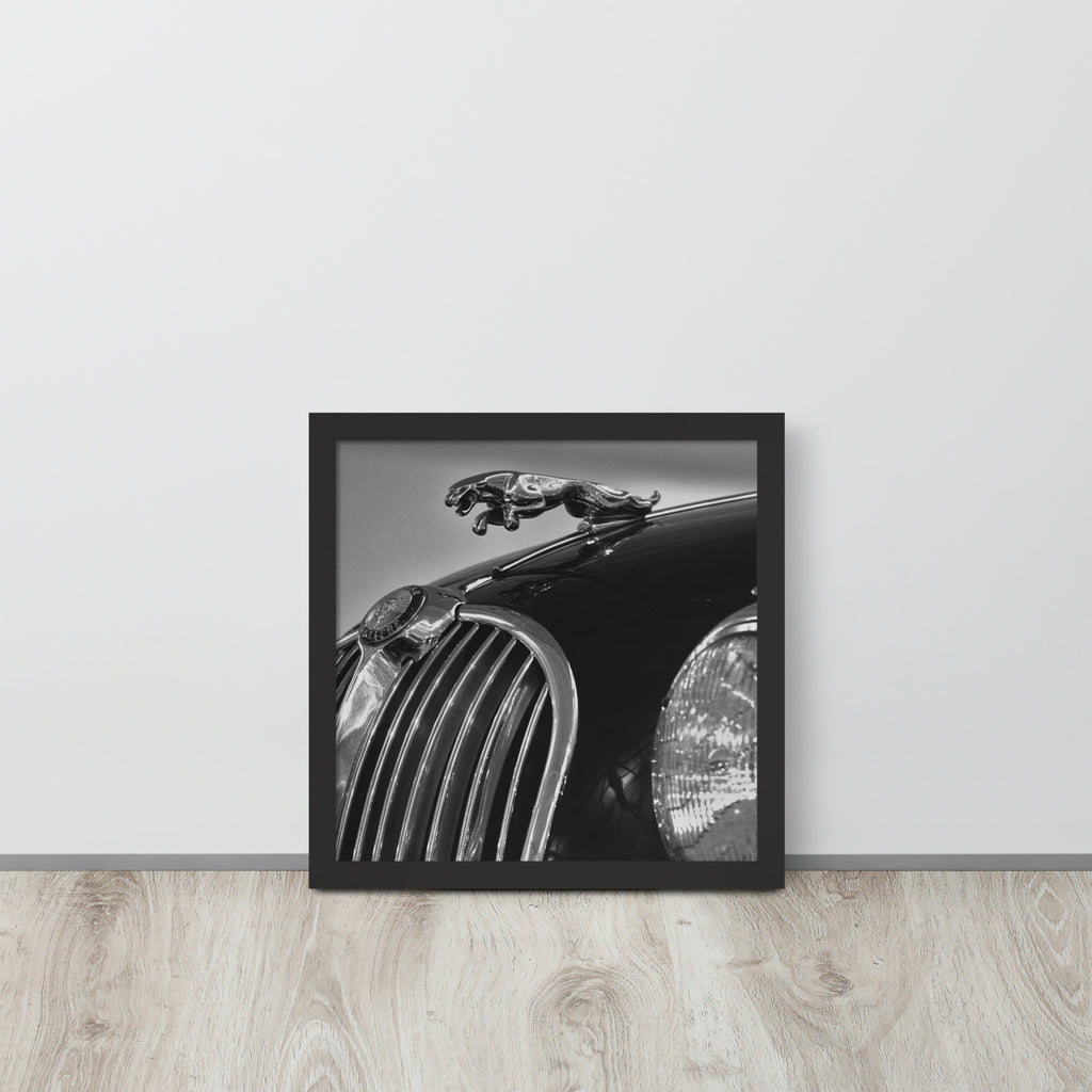 Car Collection Jaguar -- High Quality-- Framed on photo paper