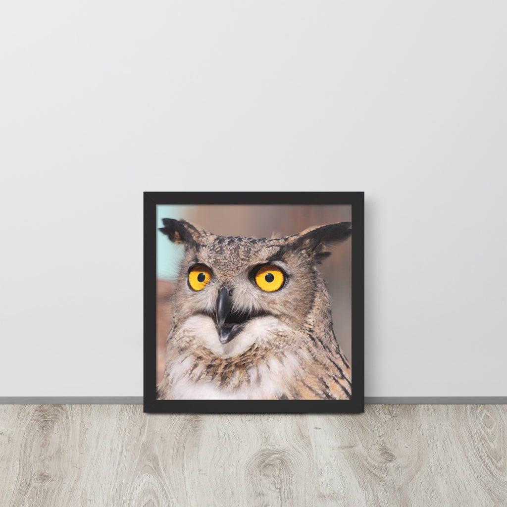 Owl -- High Quallity -- Framed on photo paper