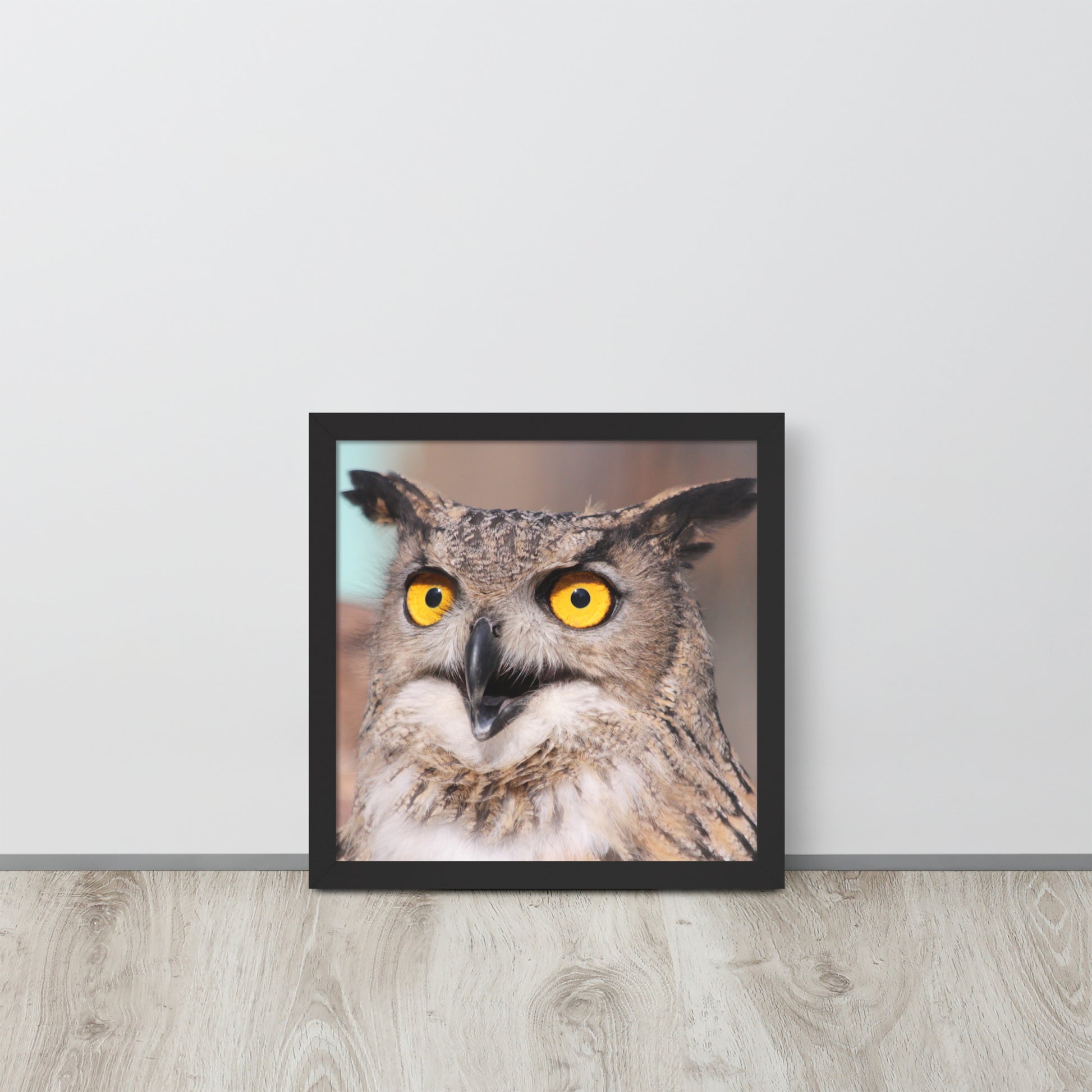 Owl -- High Quallity -- Framed on photo paper