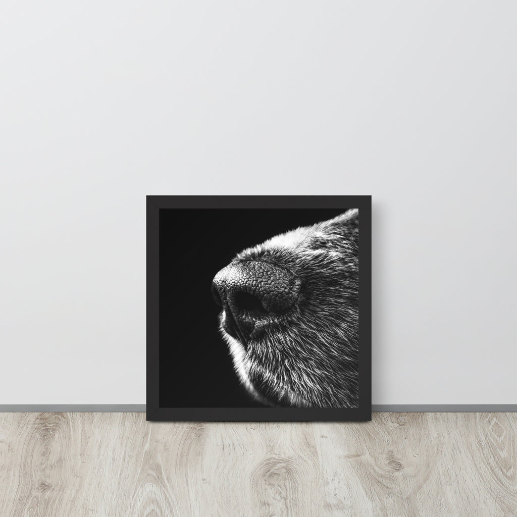 The Nose -- High Quality -- Framed on photo paper