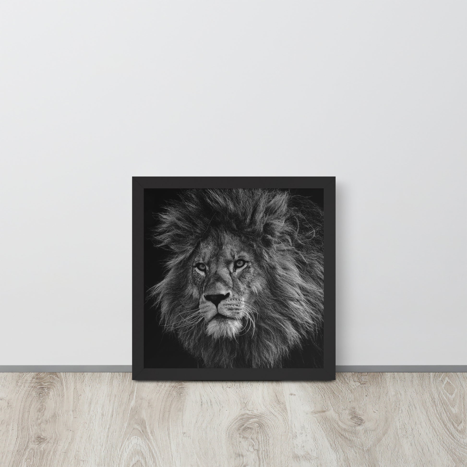 Lion -- High Quality -- Framed on photo paper