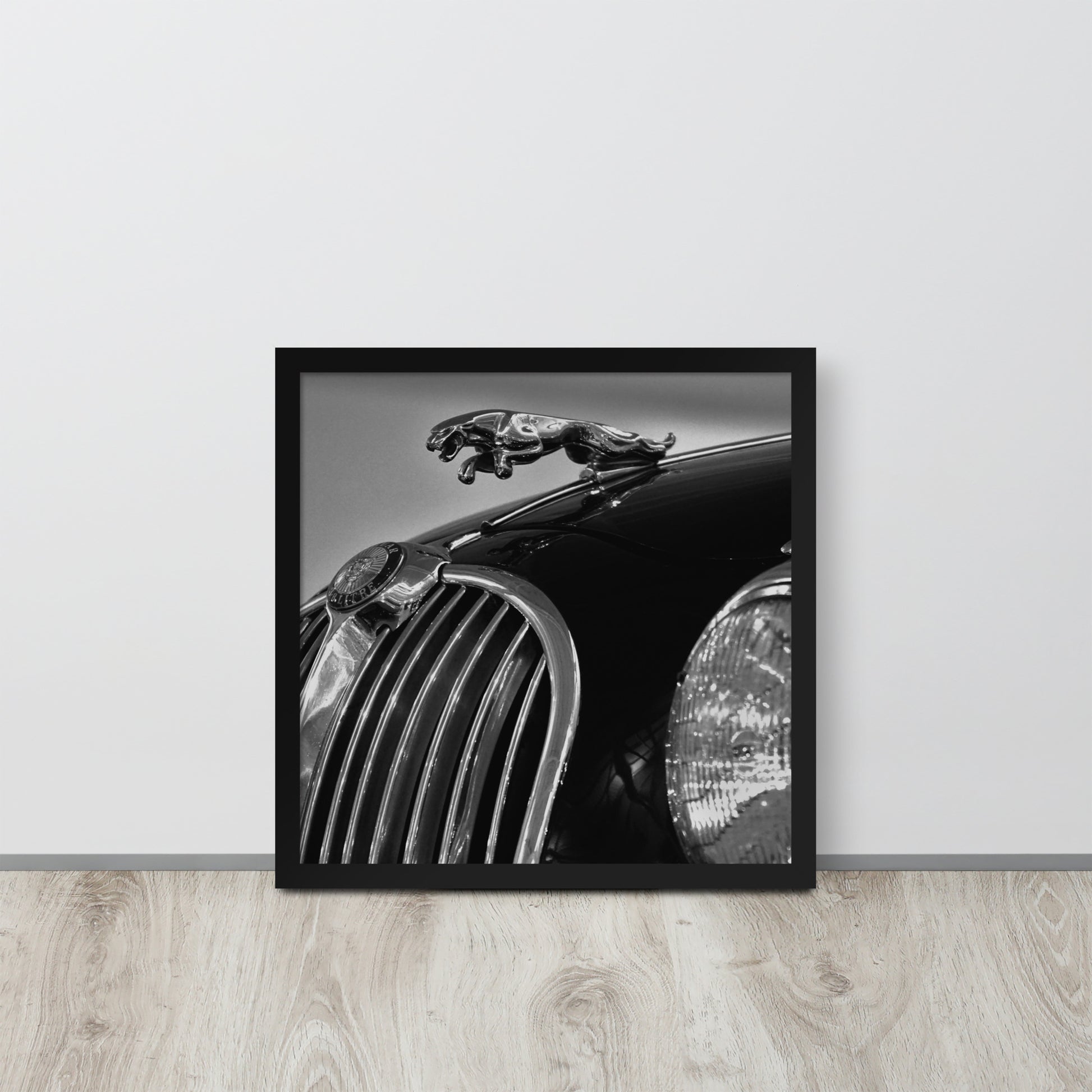 Car Collection Jaguar -- High Quality-- Framed on photo paper