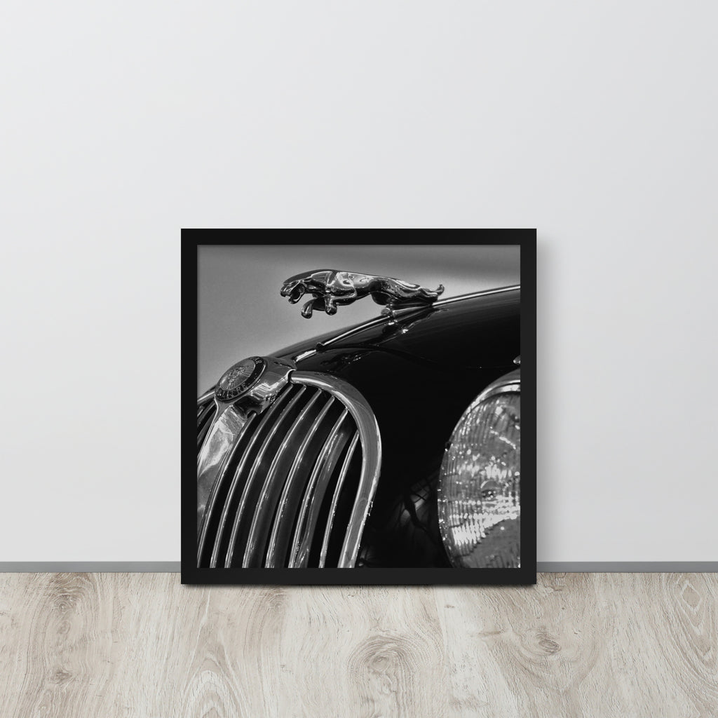 Car Collection Jaguar -- High Quality-- Framed on photo paper