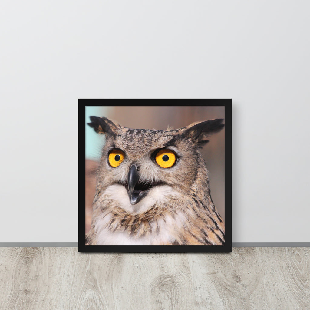 Owl -- High Quallity -- Framed on photo paper