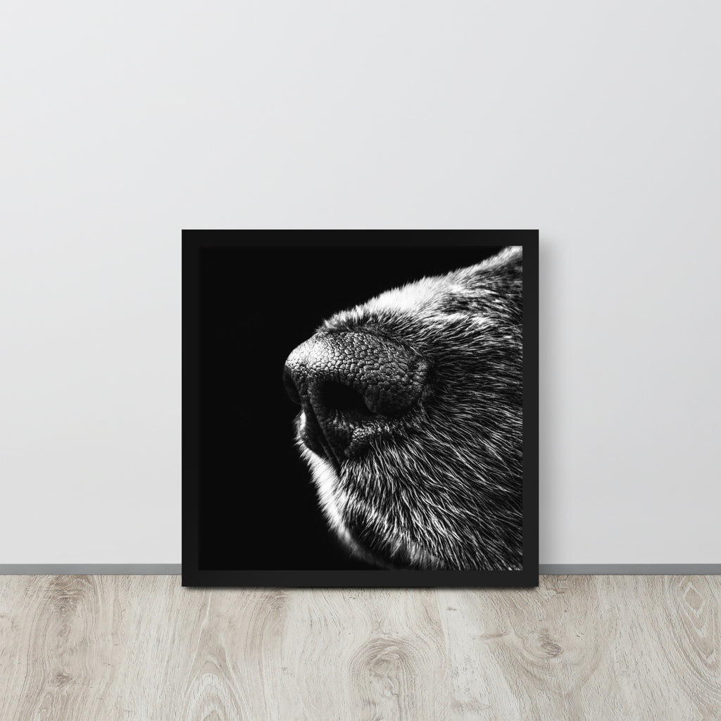 The Nose -- High Quality -- Framed on photo paper