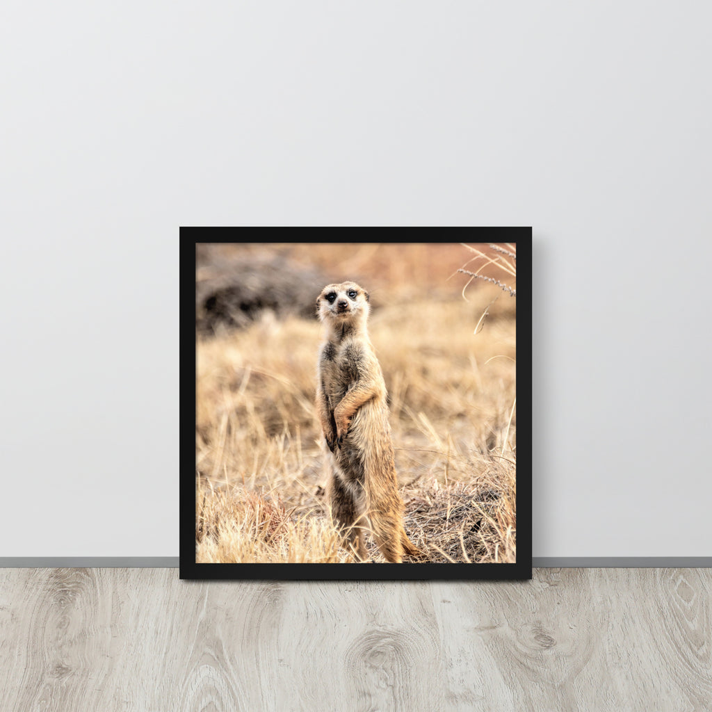 -- High Quality -- Framed on photo paper