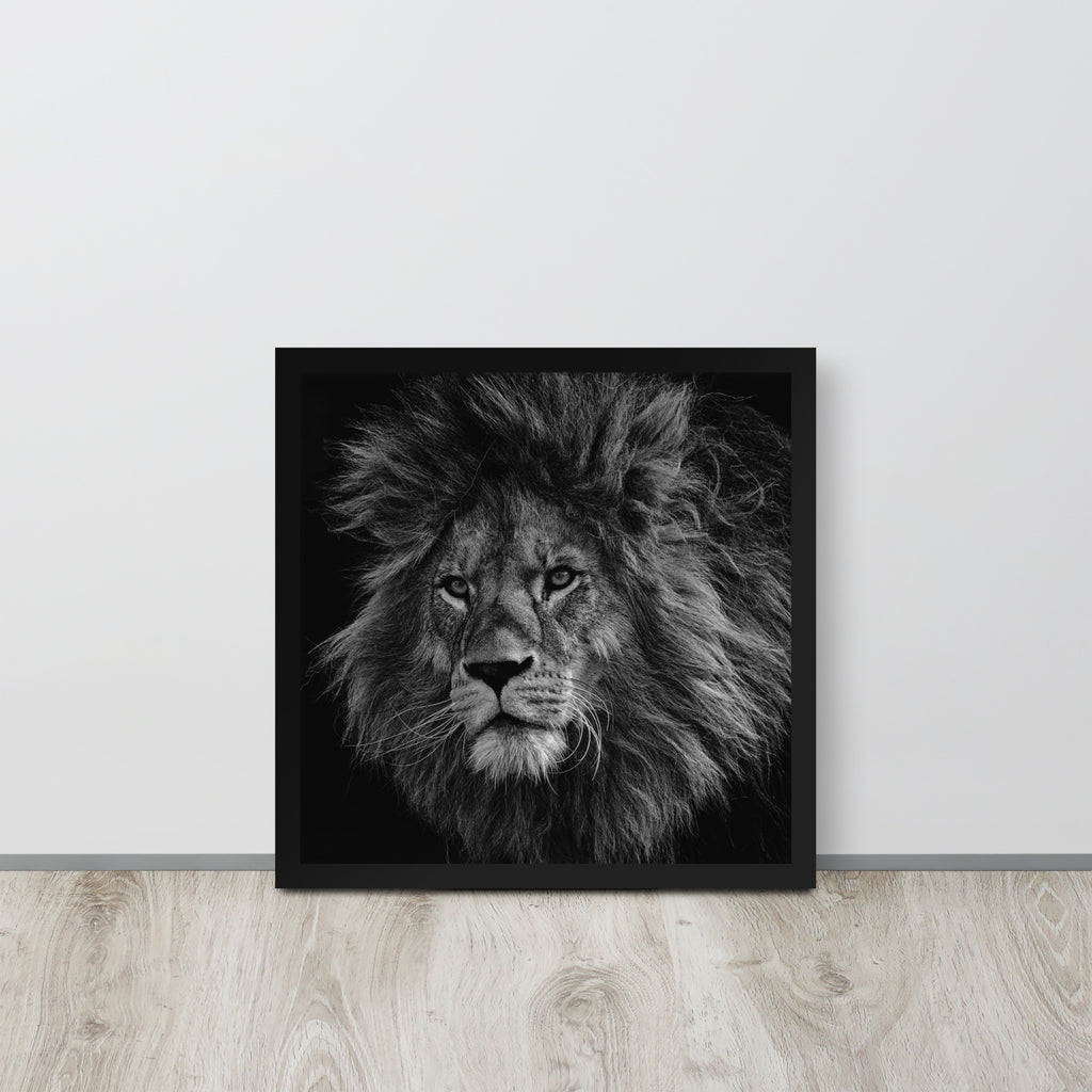 Lion -- High Quality -- Framed on photo paper
