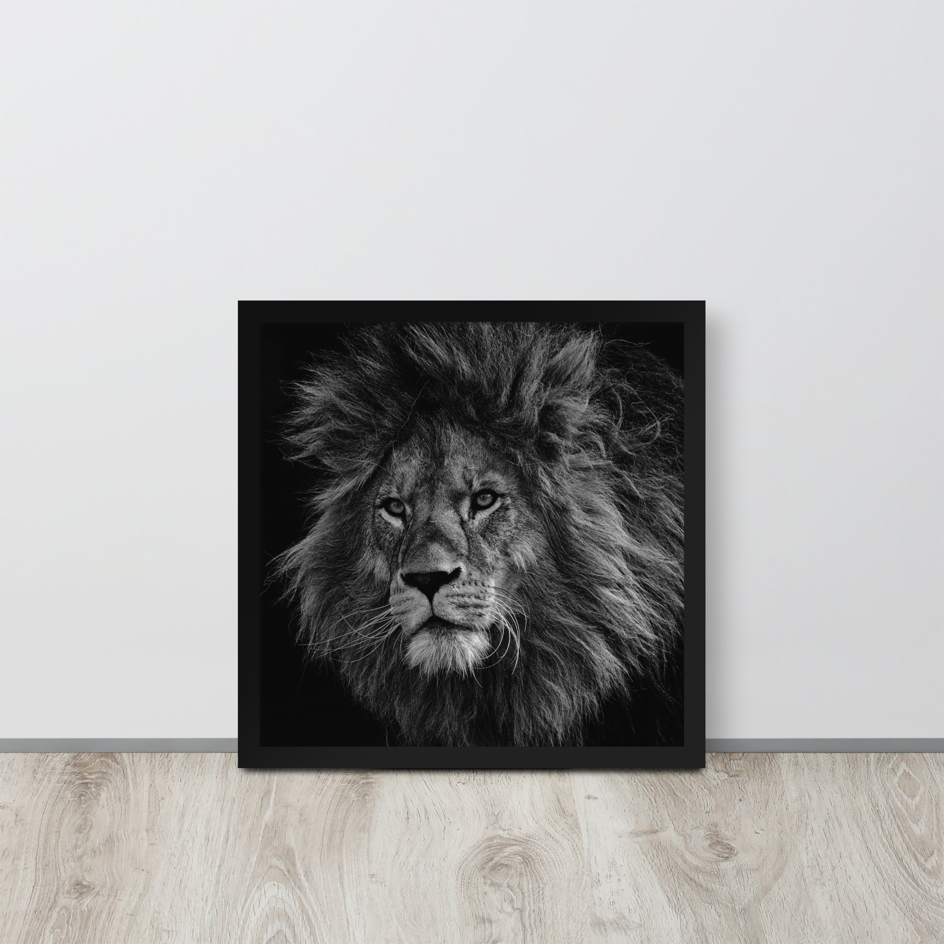 Lion -- High Quality -- Framed on photo paper