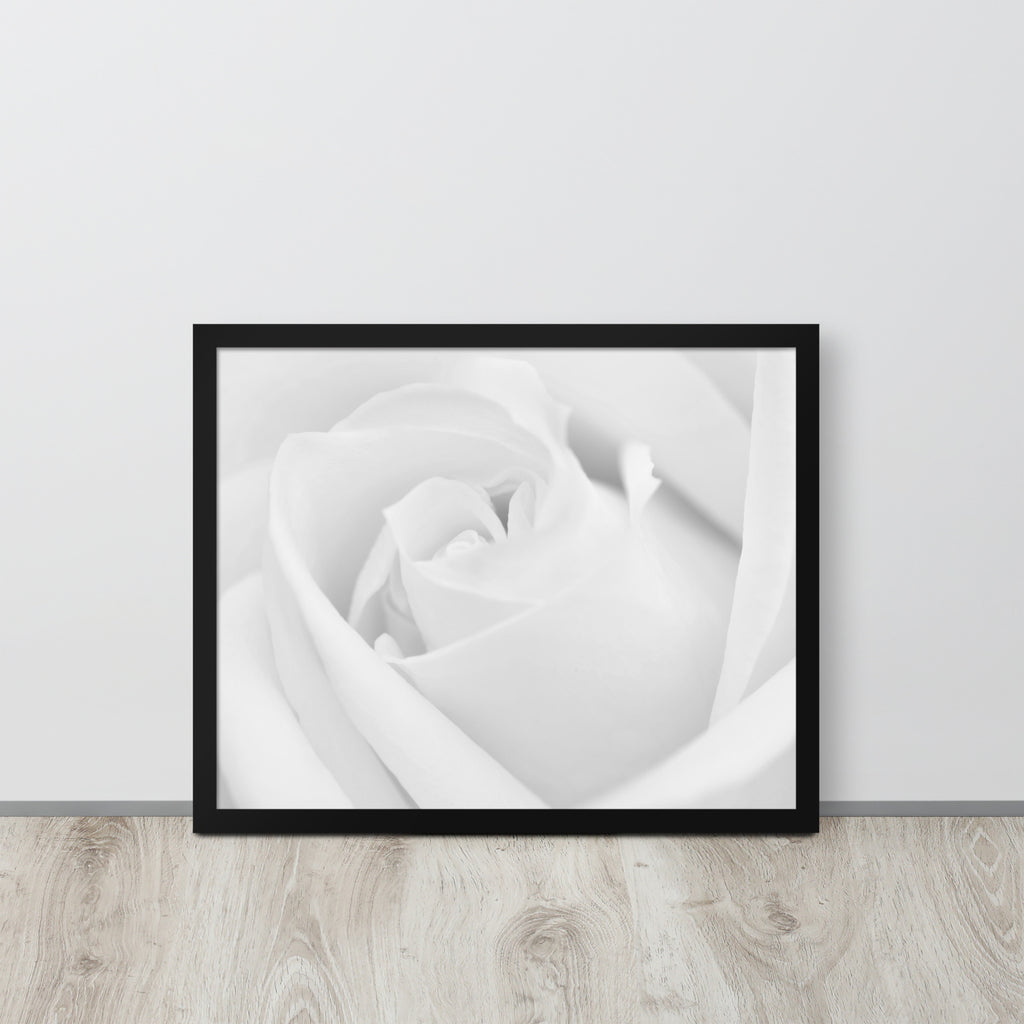 The Rose -- High Quality -- Framed on photo paper
