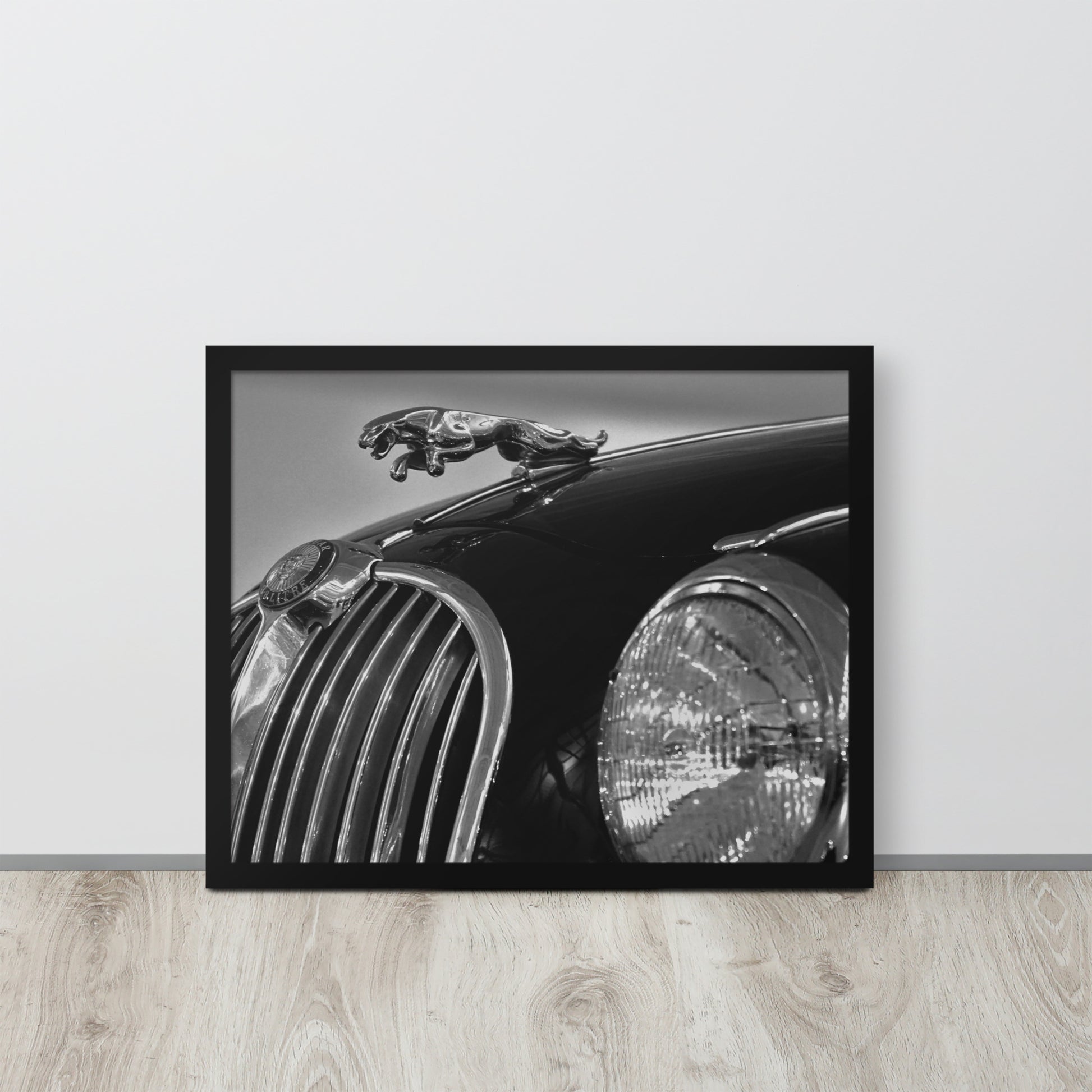 Car Collection Jaguar -- High Quality-- Framed on photo paper