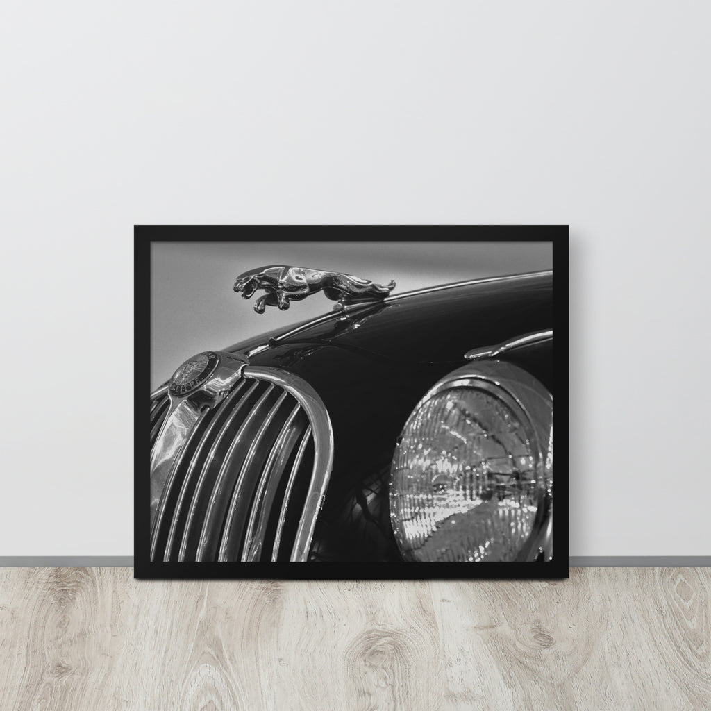 Car Collection Jaguar -- High Quality-- Framed on photo paper