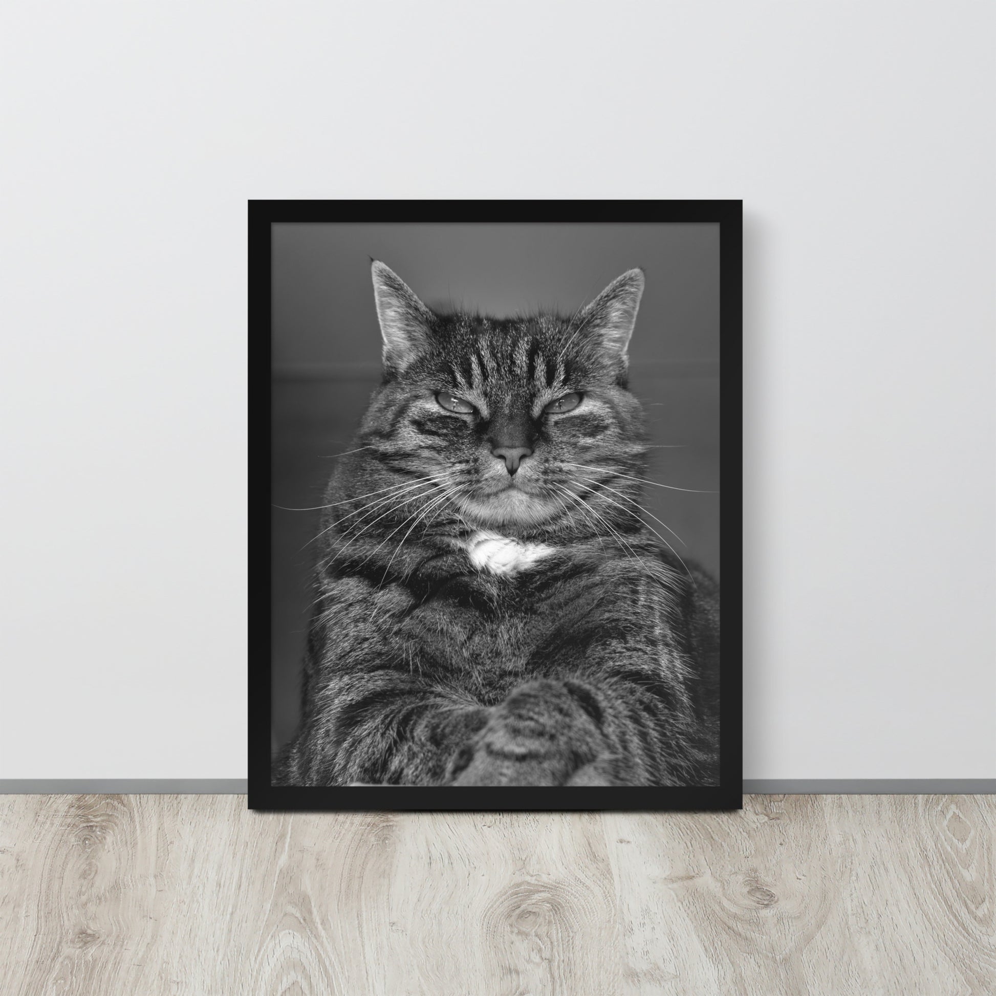 The Cat -- High Quality -- Framed on photo paper