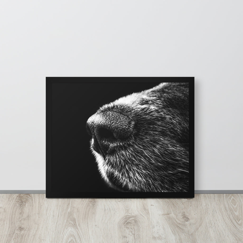 The Nose -- High Quality -- Framed on photo paper