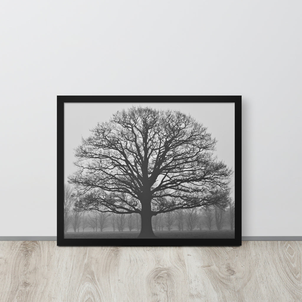The Tree -- High Quality -- Framed on photo paper