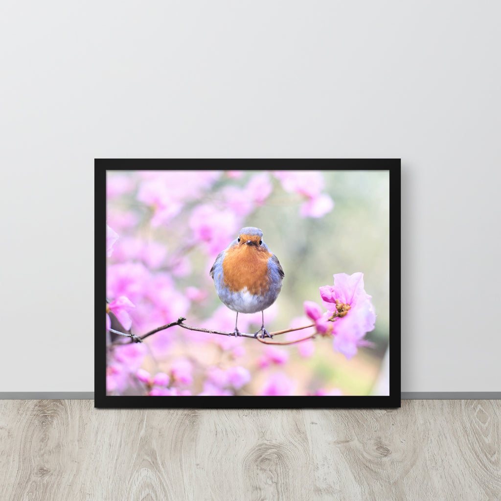 Birdie -- High Quality -- Framed on photo paper