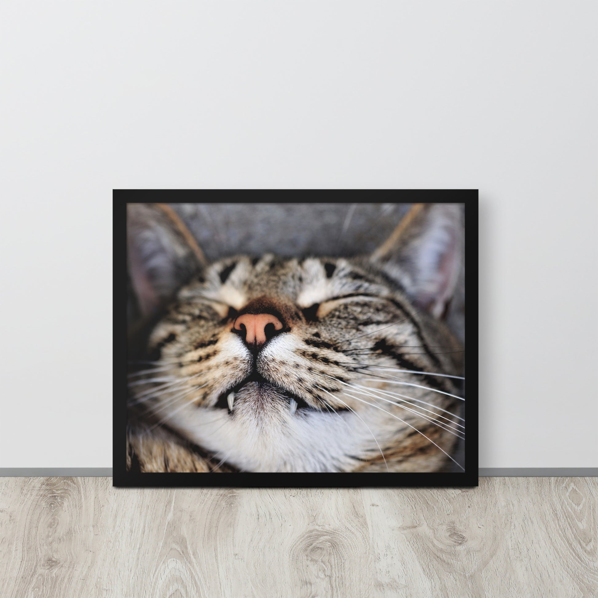 Sleeping Cat -- High Quality -- Framed on photo paper