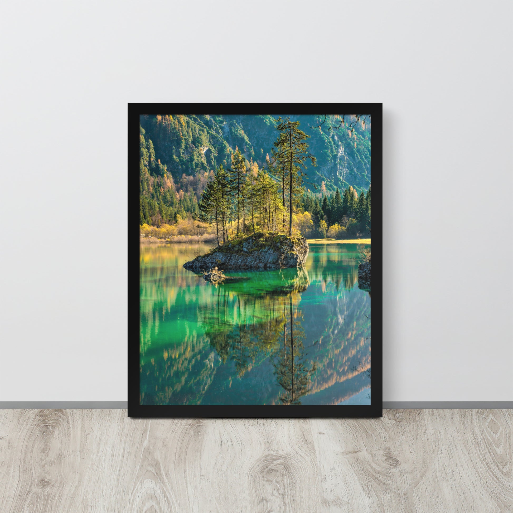 Nature -- High Quality -- Framed on photo paper