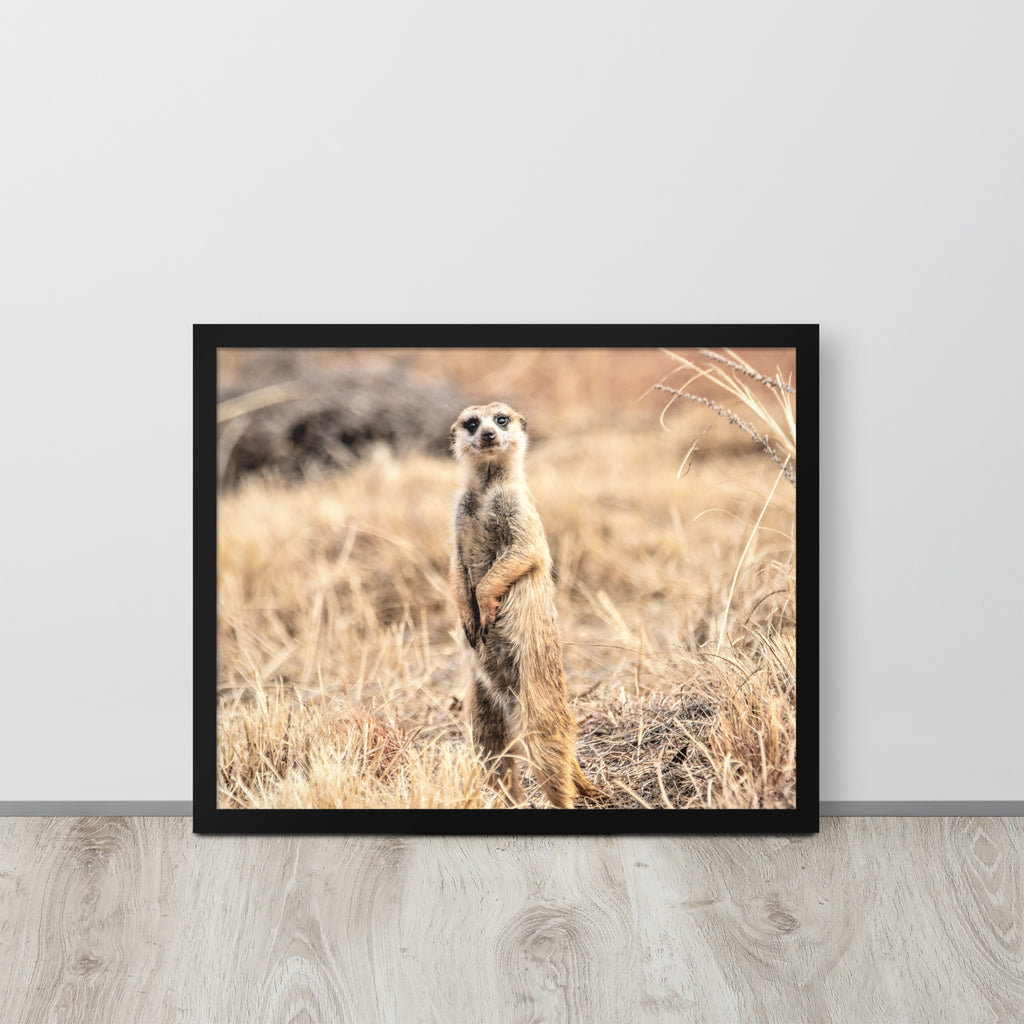 -- High Quality -- Framed on photo paper