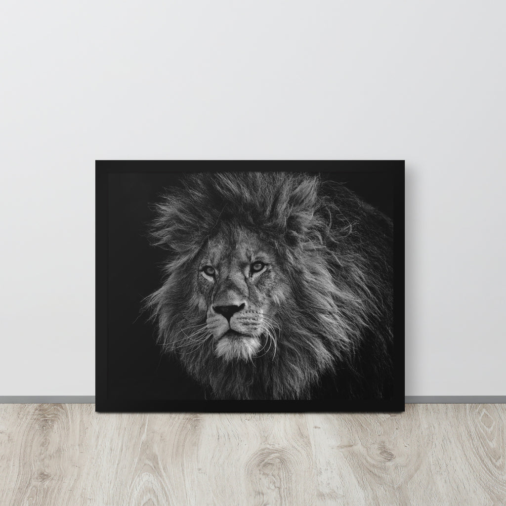 Lion -- High Quality -- Framed on photo paper