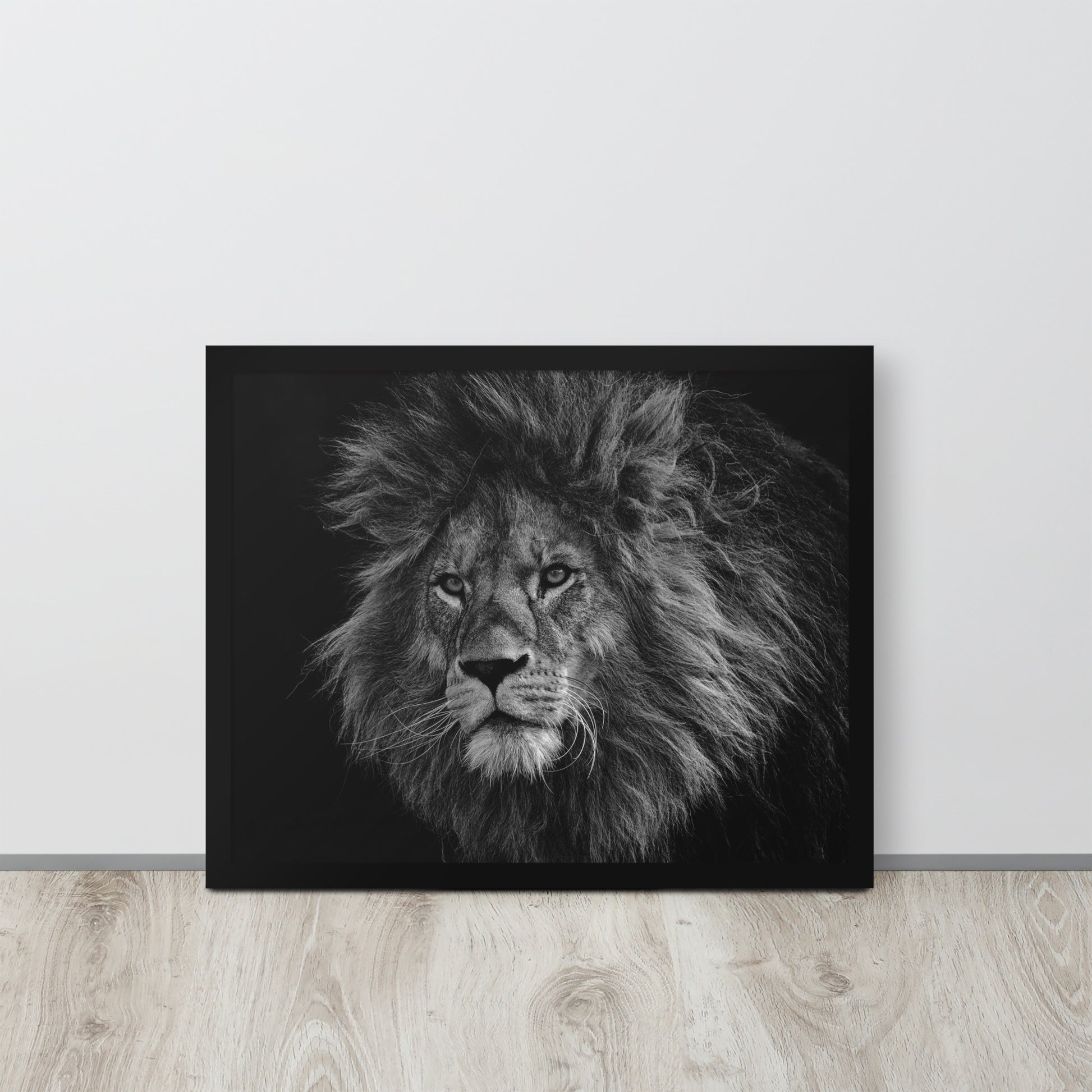 Lion -- High Quality -- Framed on photo paper