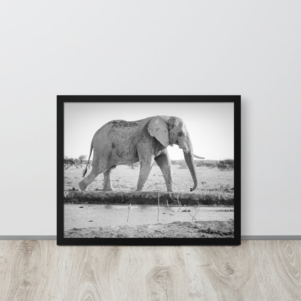 Elephant -- High Quality -- Framed photo paper