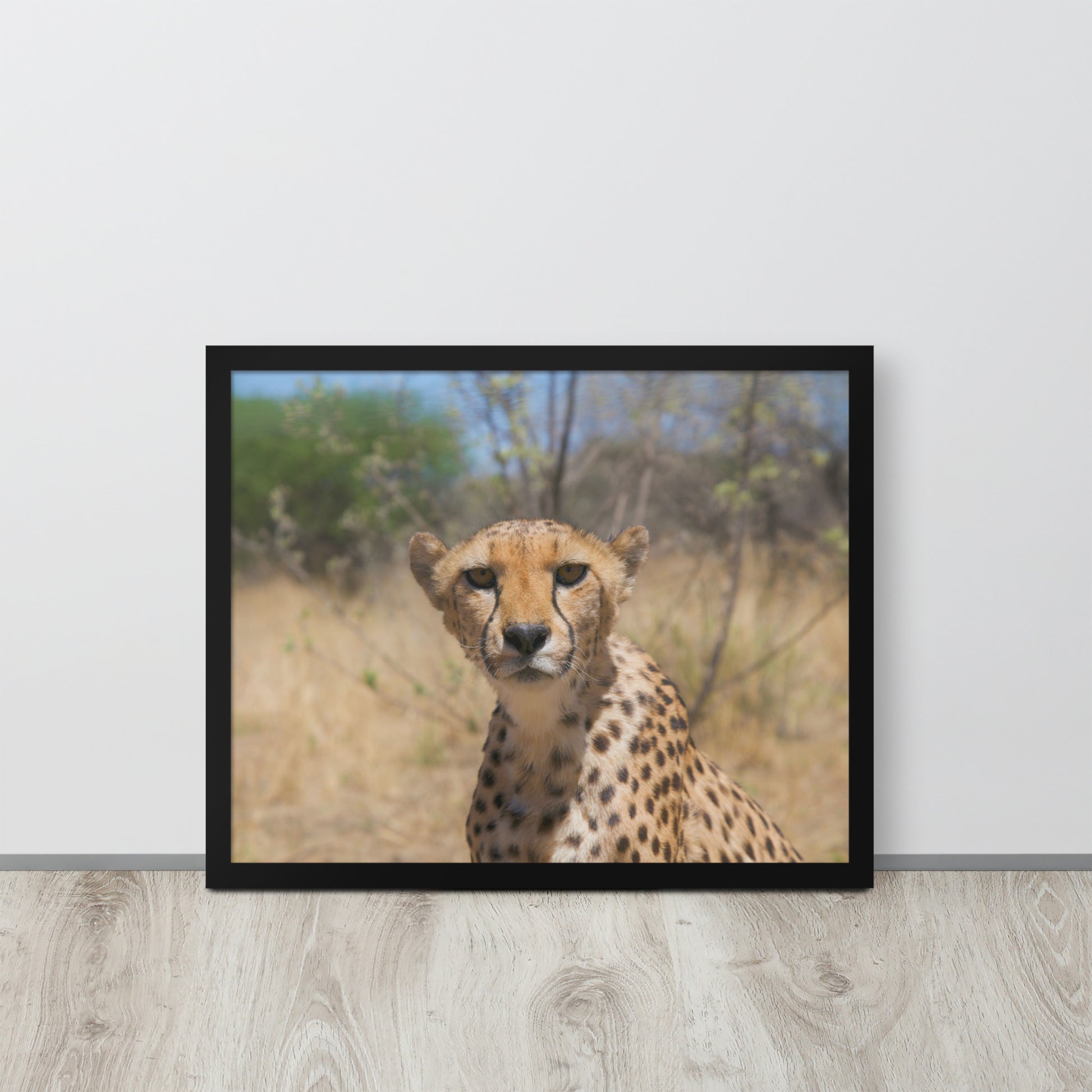 Leopard -- High Quality -- Framed on photo paper