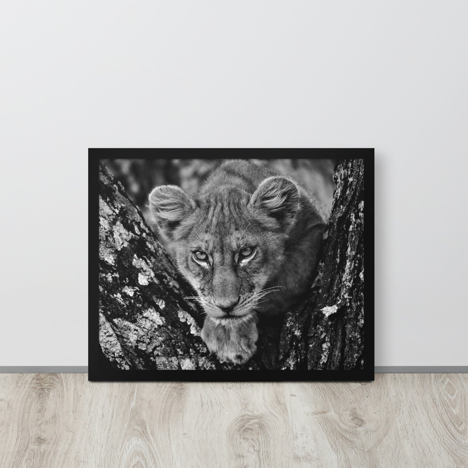 Lioness -- High Quality -- Framed on photo paper