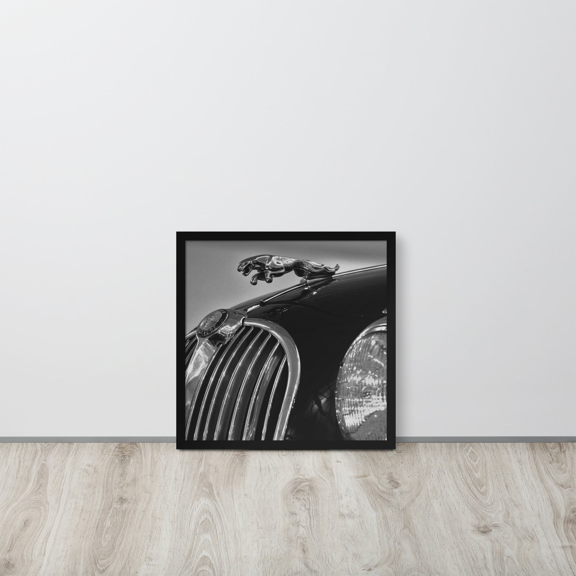 Car Collection Jaguar -- High Quality-- Framed on photo paper