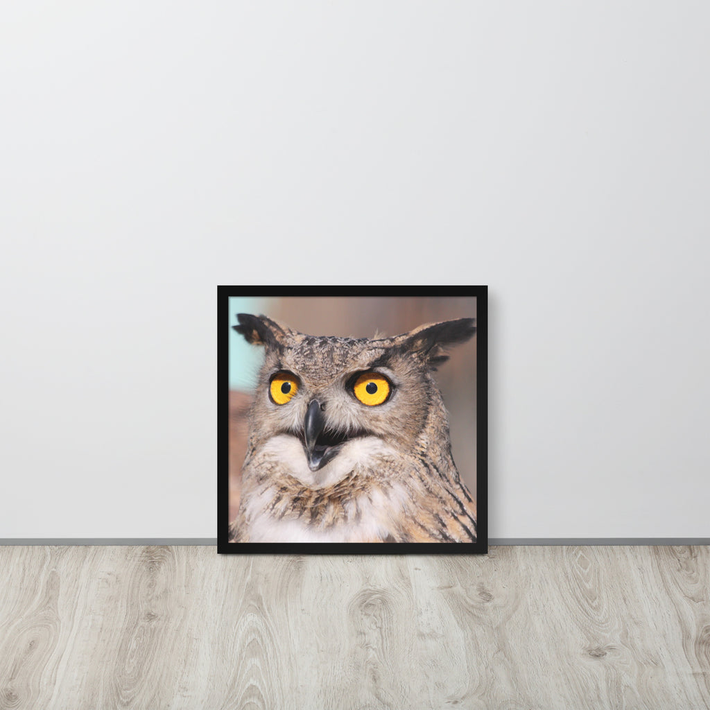 Owl -- High Quallity -- Framed on photo paper
