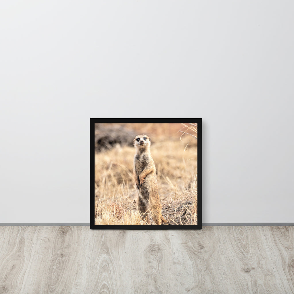 -- High Quality -- Framed on photo paper