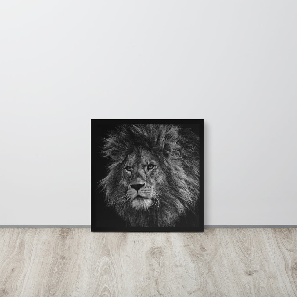 Lion -- High Quality -- Framed on photo paper