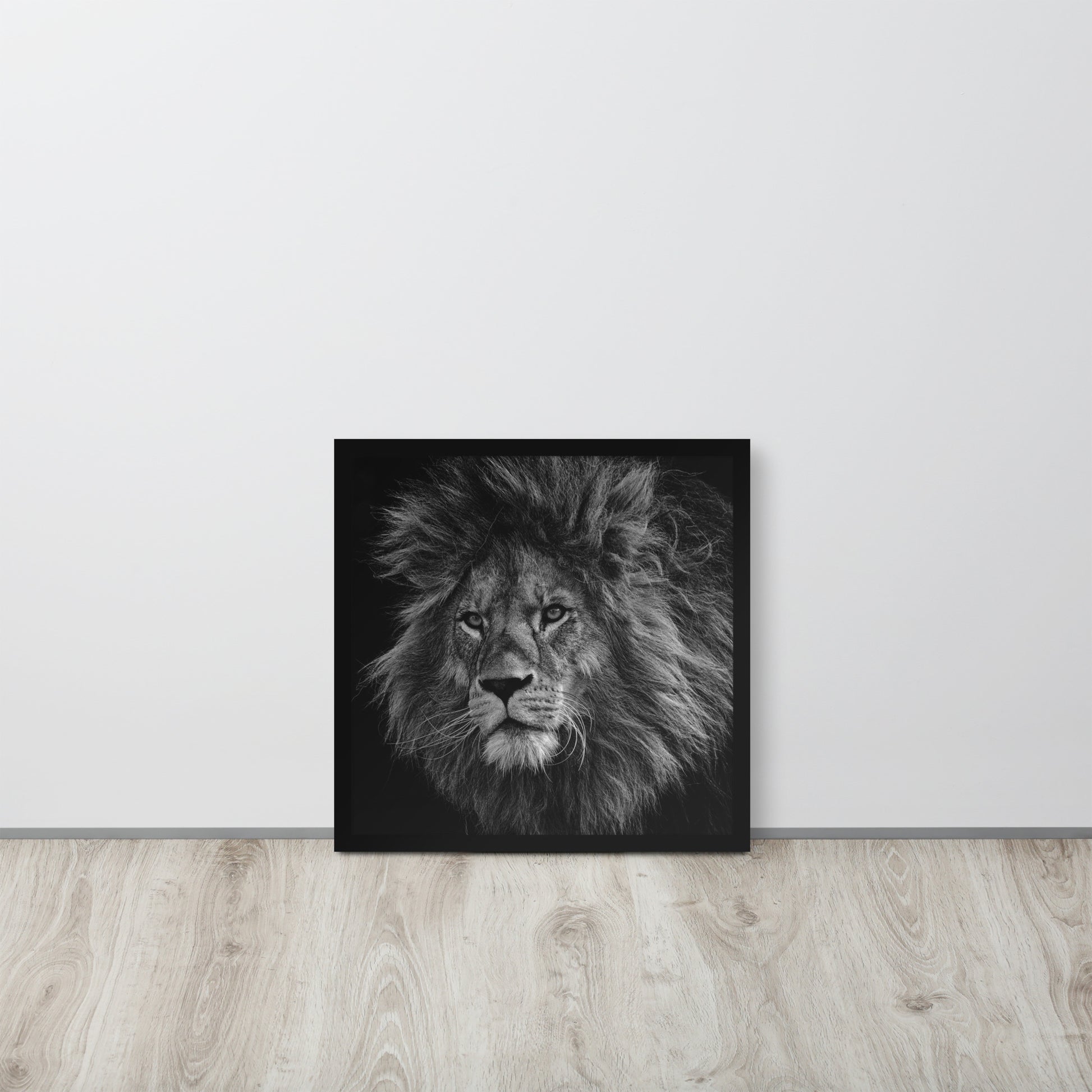 Lion -- High Quality -- Framed on photo paper