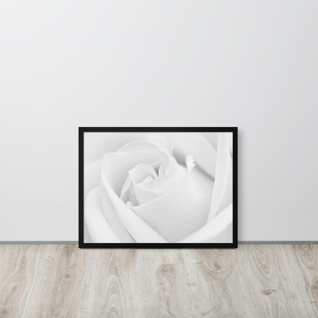 The Rose -- High Quality -- Framed on photo paper
