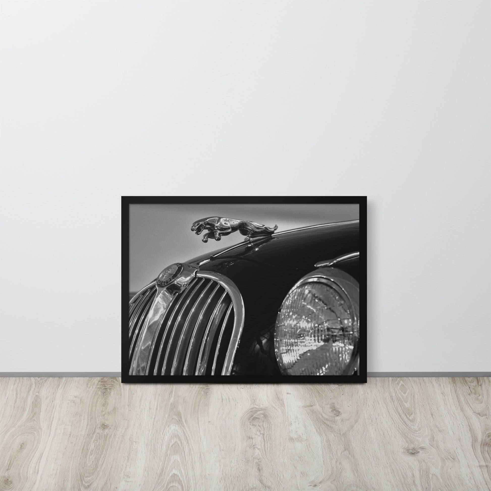 Car Collection Jaguar -- High Quality-- Framed on photo paper