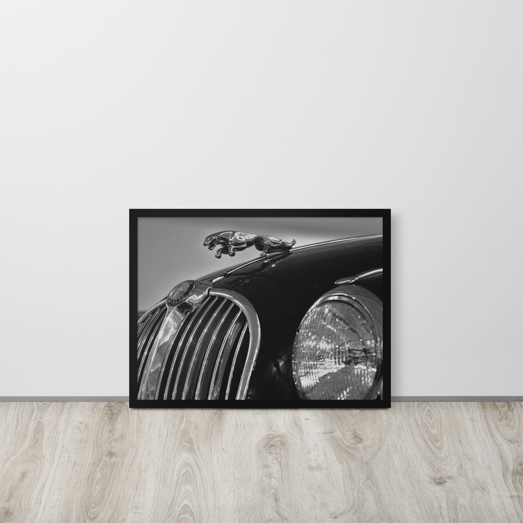 Car Collection Jaguar -- High Quality-- Framed on photo paper