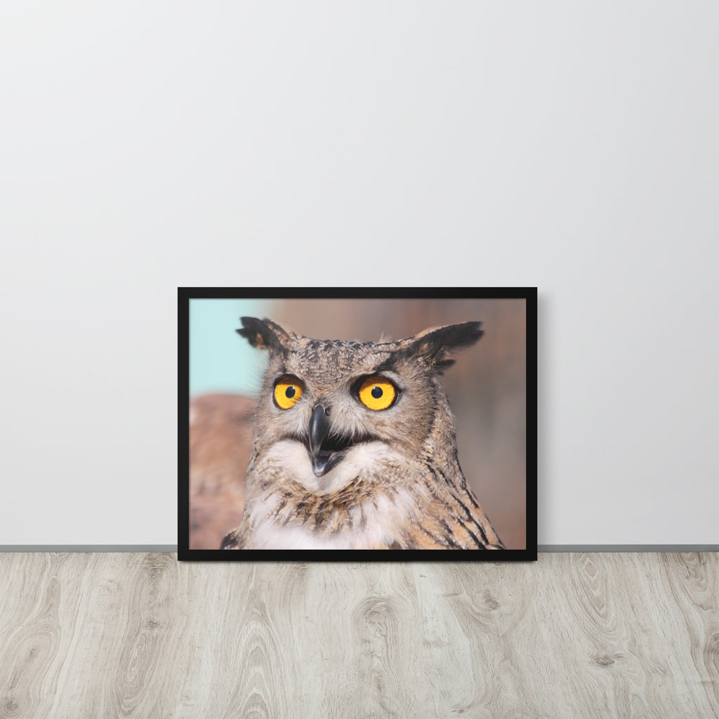 Owl -- High Quallity -- Framed on photo paper