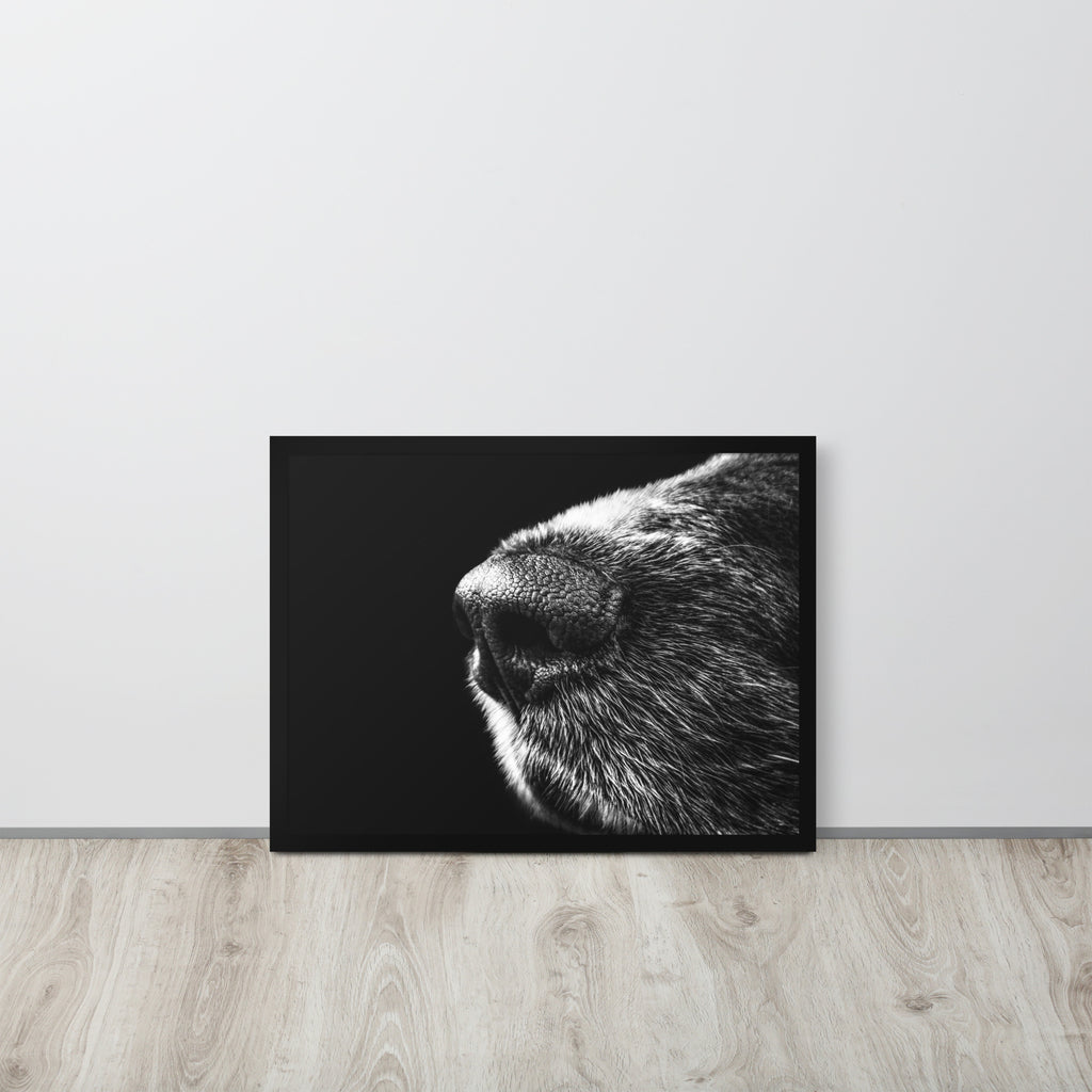 The Nose -- High Quality -- Framed on photo paper