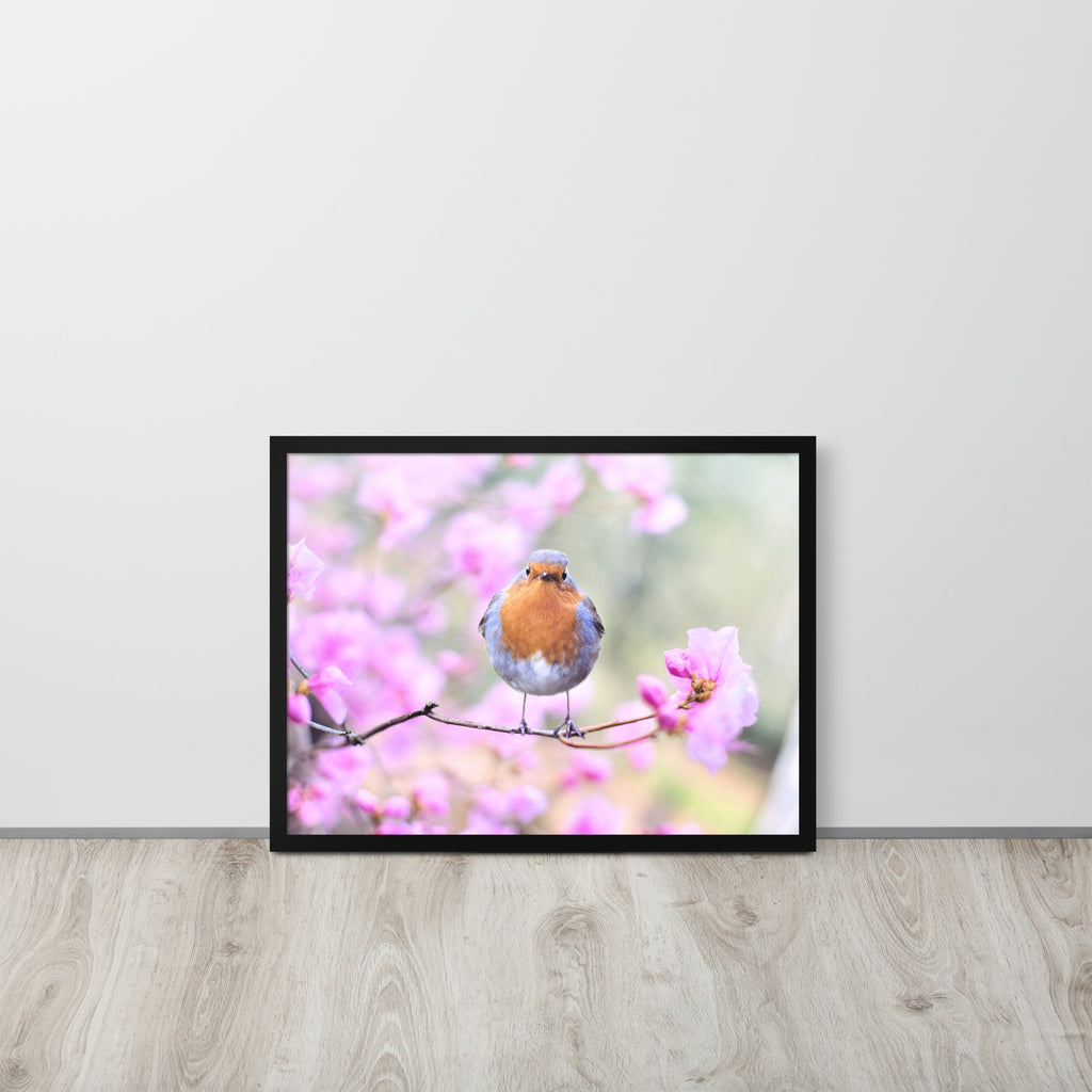 Birdie -- High Quality -- Framed on photo paper