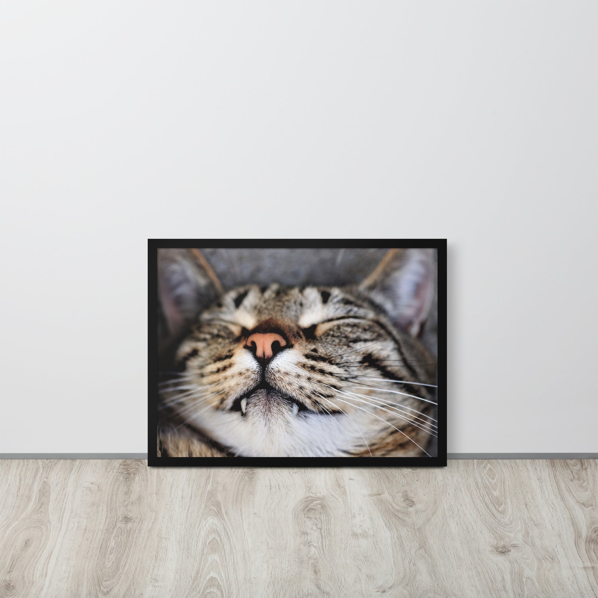 Sleeping Cat -- High Quality -- Framed on photo paper