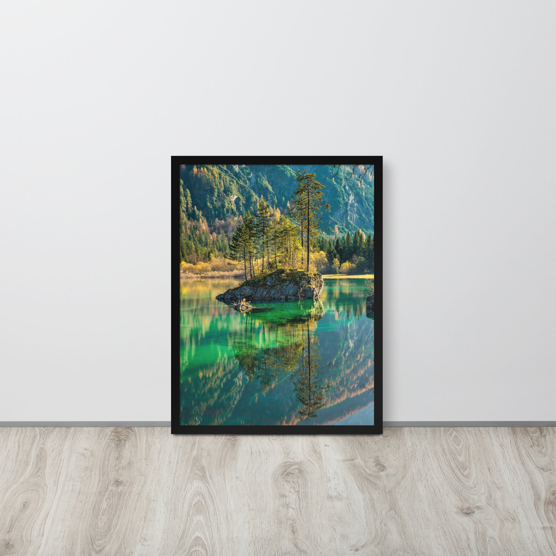 Nature -- High Quality -- Framed on photo paper