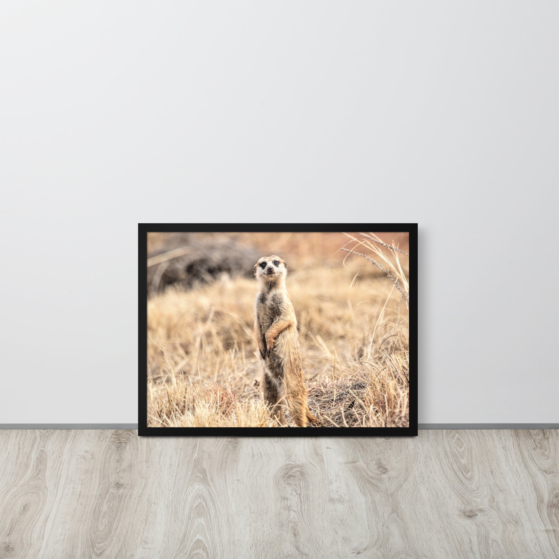 -- High Quality -- Framed on photo paper