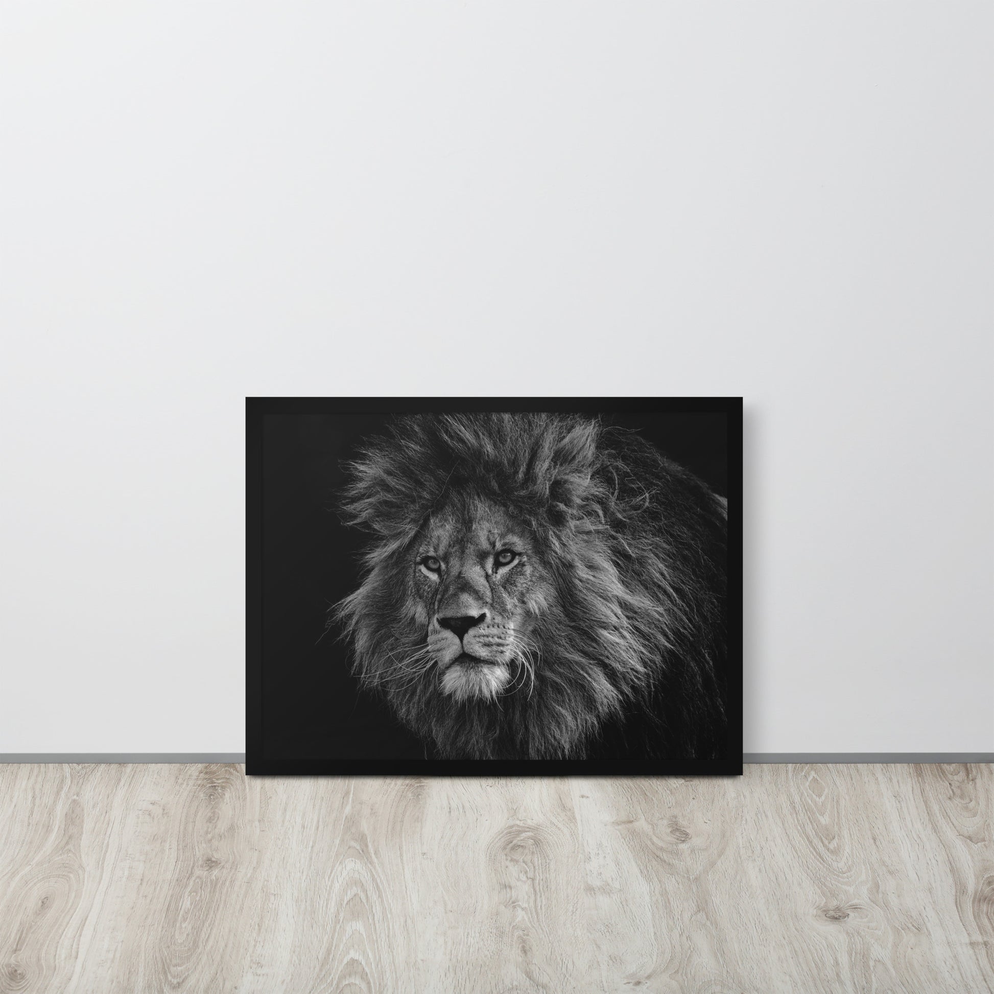 Lion -- High Quality -- Framed on photo paper