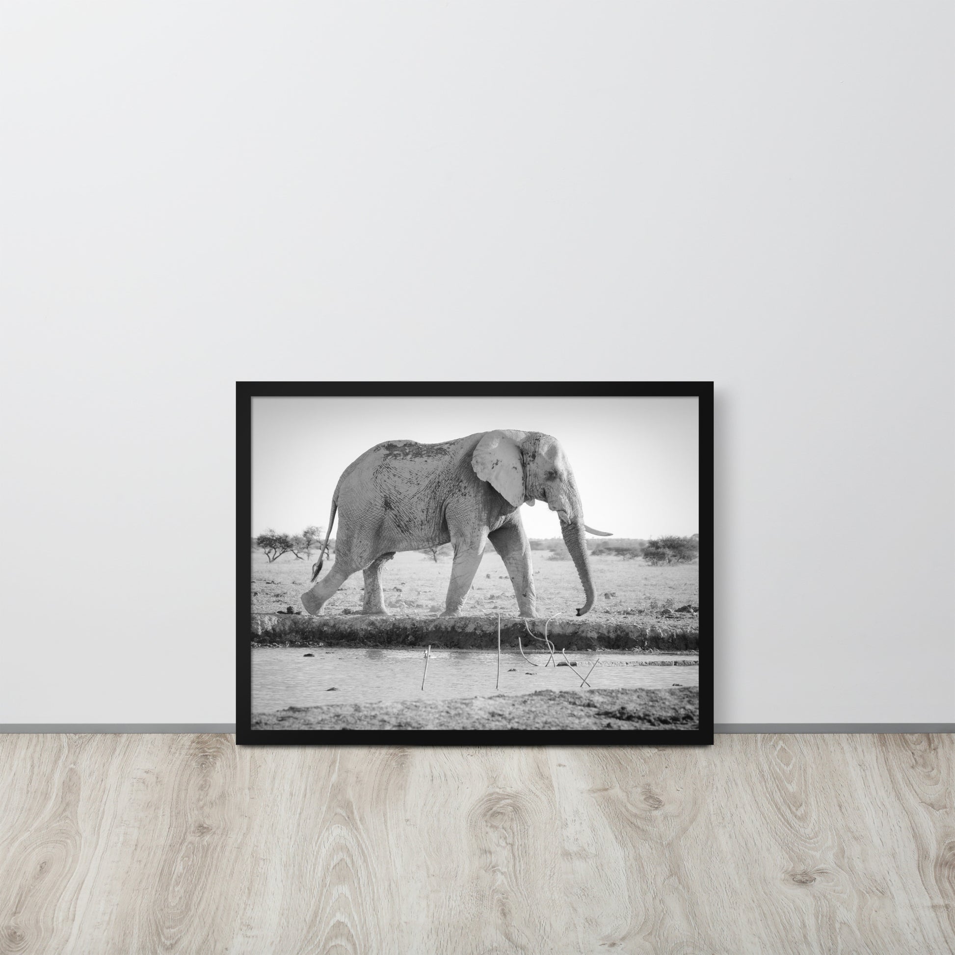 Elephant -- High Quality -- Framed photo paper